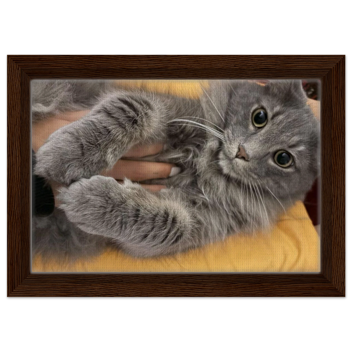 0994dc42-a1ad-455e-900b-7720102281a7