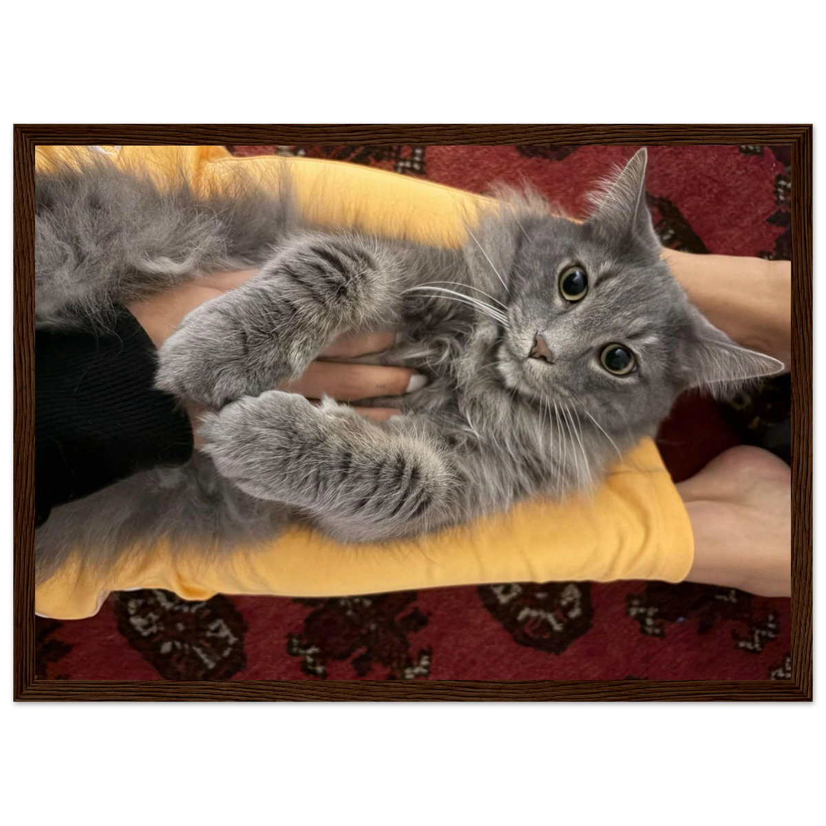 830e234b-f99e-4a51-b28d-5bb12822067e