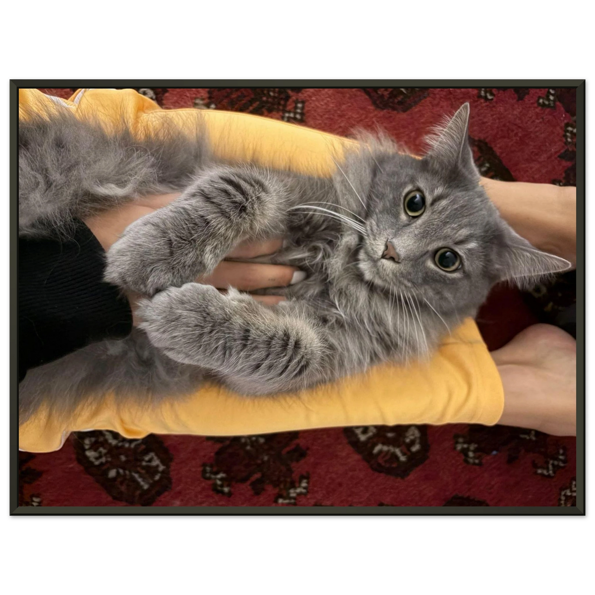 ac72cf8f-bbcc-4a34-a962-c50f58b3386e